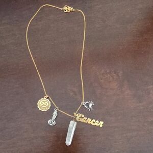 Cancer Zodiac Charm Necklace in Gold and Silver